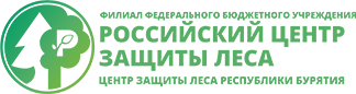 Российский центр защиты леса Республики Бурятии