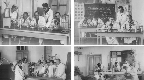 Первый выпуск ветеринарных врачей БМВЗИ, 1935-1939 годы