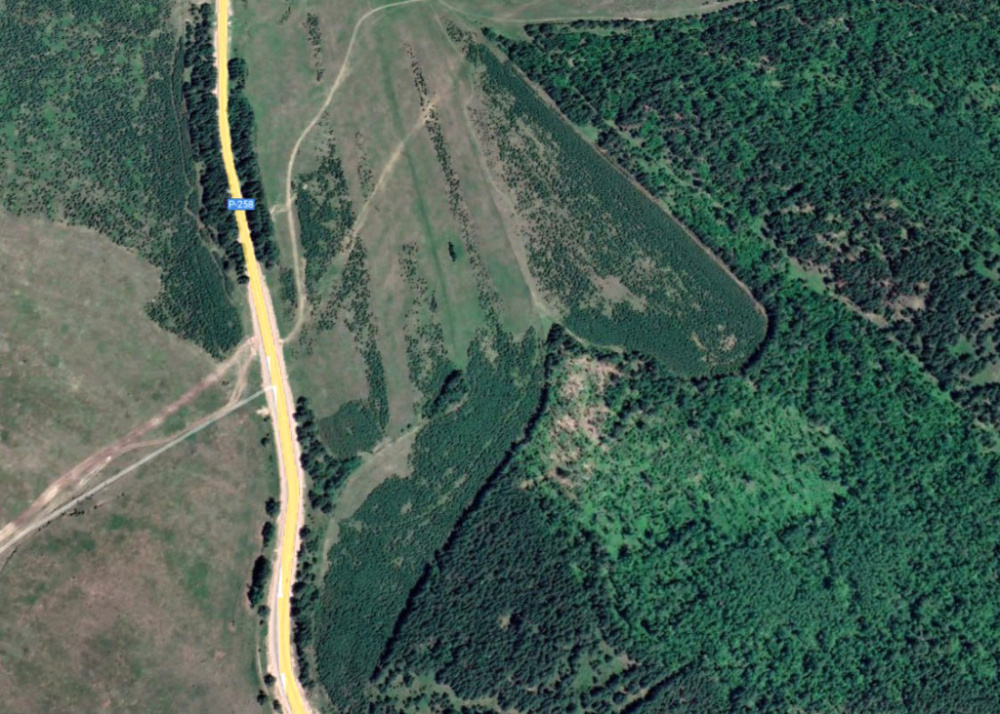 Ученые Бурятской ГСХА считают, что заросшие лесом сельхозугодья в республике могут использоваться для агролесоводства