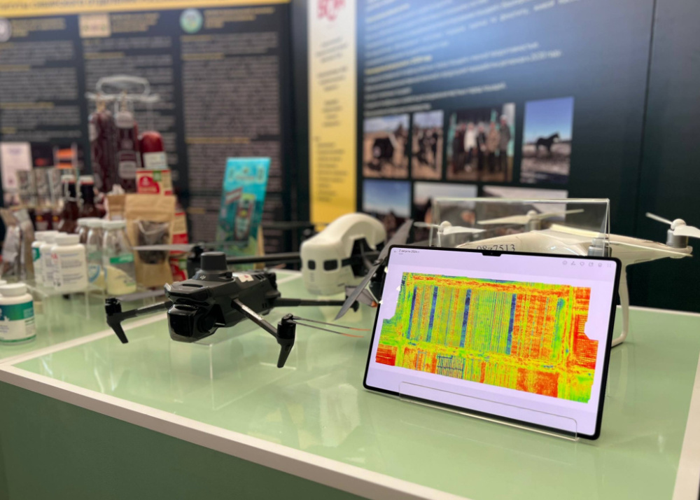 В Бурятской ГСХА научат нейросеть следить за «здоровьем» пшеницы и капусты для автоматизированного мониторинга посевов