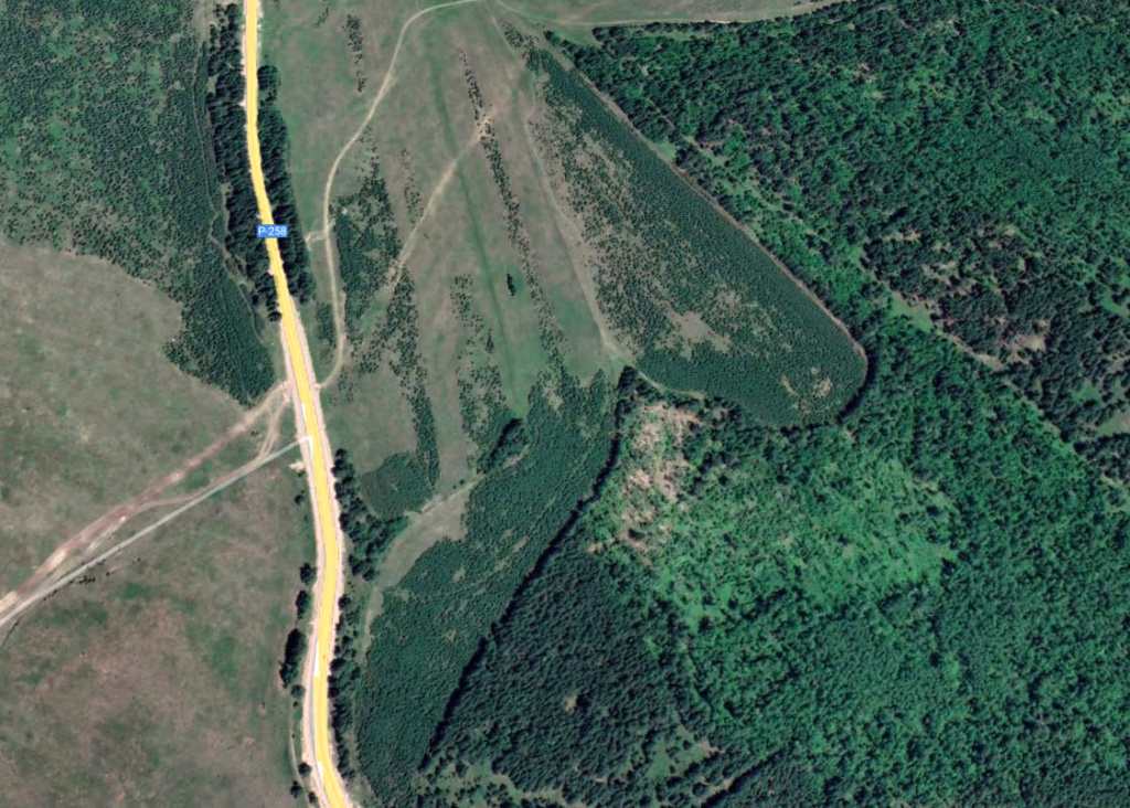 Ученые Бурятской ГСХА считают, что заросшие лесом сельхозугодья в республике могут использоваться для агролесоводства