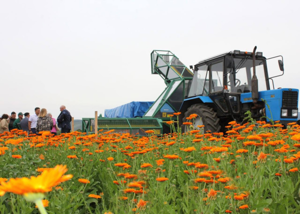 В Бурятской ГСХА состоялось открытие курсов профессиональной переподготовки  «Лекарственное растениеводство»