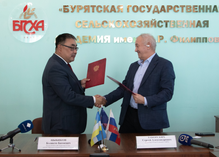 photo_5197154331219058781_y (1).png