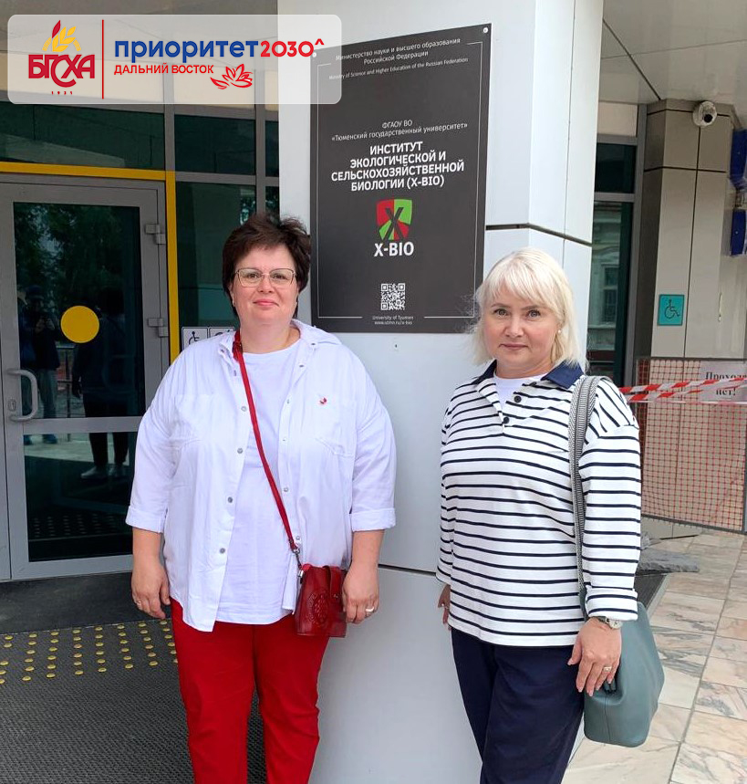 ПЕРЕДЕЛКА 3.jpg