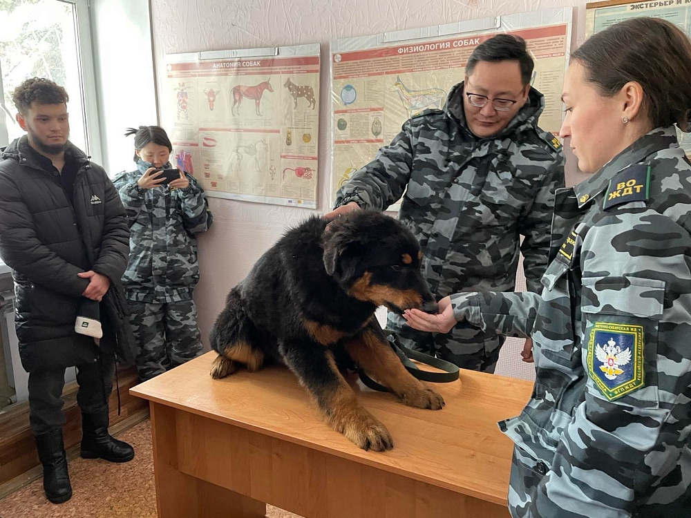 Студенты направления «Зоотехния» посетили питомник ведомственной охраны РЖД: уроки кинологии и встреча с будущими защитниками железных дорог